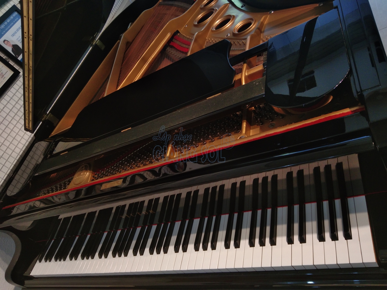Bán Đàn Piano Grand Victor VG500 || Shop Nhạc Cụ Giáng Sol quận 12, Bán đàn piano cơ quận 12, bán đàn trả góp quận 12, Bán đàn guitar quận 12, cửa hàng nhạc cụ quận 12, địa chỉ bán đàn chất lượng quận 12, shop đàn quận 12, piano trả góp, bán guitar acous