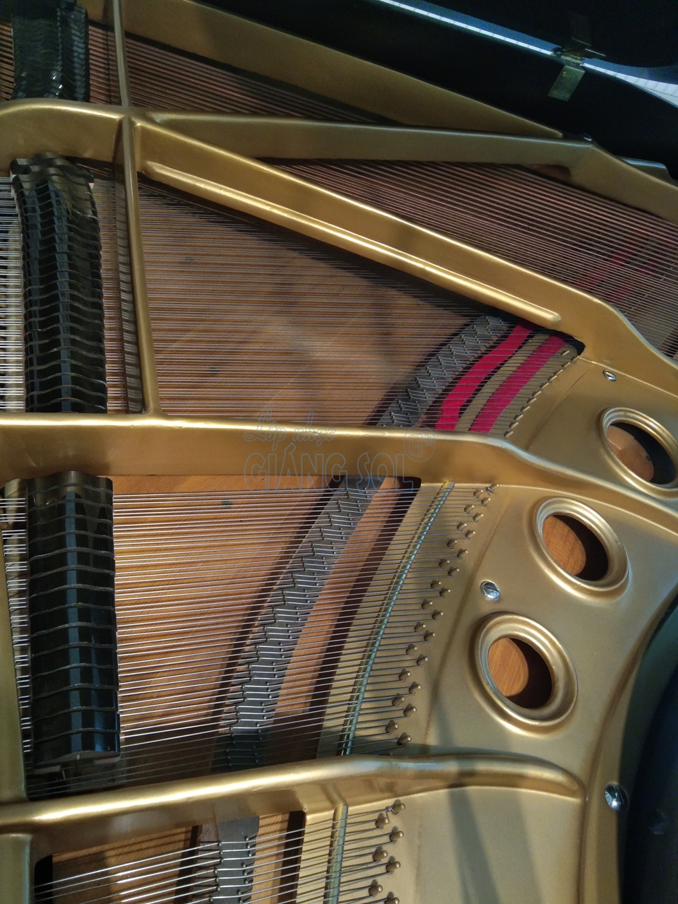 Bán Đàn Piano Grand Victor VG500 || Shop Nhạc Cụ Giáng Sol quận 12, Bán đàn piano cơ quận 12, bán đàn trả góp quận 12, Bán đàn guitar quận 12, cửa hàng nhạc cụ quận 12, địa chỉ bán đàn chất lượng quận 12, shop đàn quận 12, piano trả góp, bán guitar acous