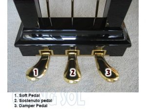 HƯỚNG DẪN CÁCH SỬ DỤNG PEDAL