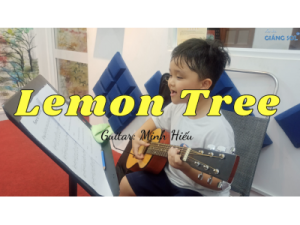 Lemon Tree guitar | Bé Minh Hiếu | Lớp nhạc Giáng Sol Quận 12