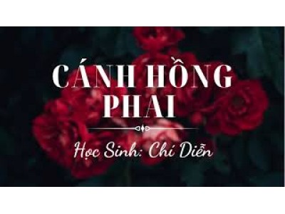 Cánh hồng phai cover organ | Chí Diễn | dạy đàn organ quận 12